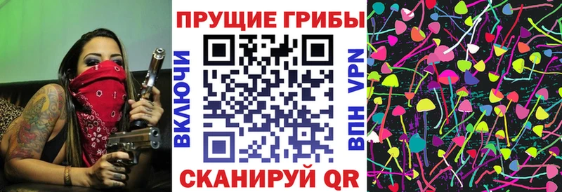 Галлюциногенные грибы GOLDEN TEACHER omg сайт Мариинск
